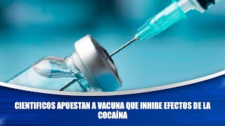 Cientificos apuestan a vacuna que inhibe efectos de la cocaína [upl. by Ayama]