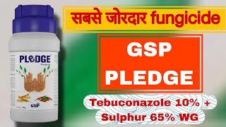 GSP PLEDGE FUNGICIDE Tebuconazole 10  Sulphur 65 WG FUNGICIDE PLEDGE GSP A2 FARMING [upl. by Ron438]