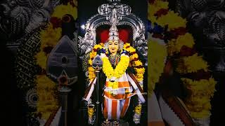 athanda ithanda arunachalam devotionalsongs murugasongs godsong superstar [upl. by Liuka]