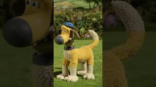 Flock Fun🐑🐑🐑 shorts shaunthesheep cartoonforkids [upl. by Hymen]