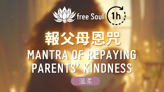 報父母恩咒🎧1 HOUR 💠為在世父母延壽、七世父母超拔可報父母恩Mantra of Repaying Parents Kindness 能念恩的人最幸福 [upl. by Akir]