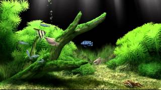 Dream Aquarium Virtual Fishtank 2 [upl. by Aliehc429]