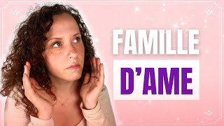 LES 12 FAMILLES DÂMES [upl. by Darelle]