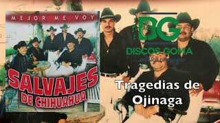 Los Salvajes de ChihuahuaTragedias de Ojinaga Audio Oficial [upl. by Thornie]