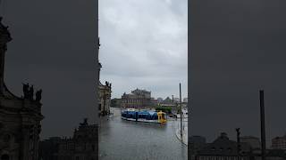 Dresden Trams in the city center 🇩🇪 [upl. by Leamhsi]