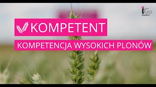 🌱 Pszenica ozima KOMPETENT [upl. by Enitsuj]