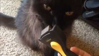 ShedMonster DeShedding Pet Brush [upl. by Ramsa]