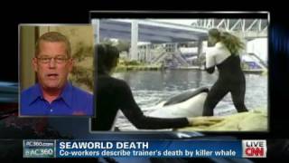 SeaWorld trainers describe death details [upl. by Daria]