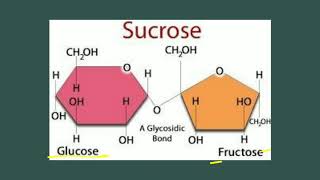 Oligosaccharides  Carbohydrates  Biochemistry [upl. by Abbotsun]