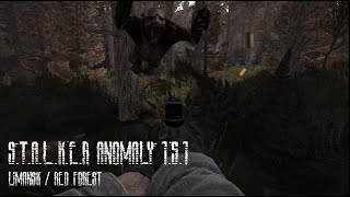 STALKER Anomaly 151  Limansk  Red forest [upl. by Anjela616]