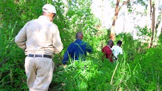 Inside dangerous Aberdare ranges😭😭See where we found mama kafue is mama kafue dead😭Watch this so sad [upl. by Natsirhc]