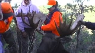 Rifle Moose Hunt in Utah  Cathy Mower  MossBack [upl. by Eenattirb]