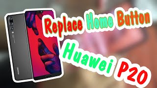 How to replace the home button of Huawei P20 [upl. by Marion]