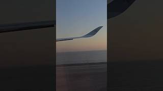 Qatar Airways A3501000 landing Hamad International Airport tripreport hamadairport [upl. by Norym115]