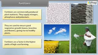 Fertilizers  Improvement in Food Resources  Science  Class 9th  iPrep [upl. by Teerprug]