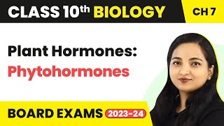 Plant Hormones Phytohormones  Control and Coordination  Class 10 Biology Chapter 7 [upl. by Mcroberts]