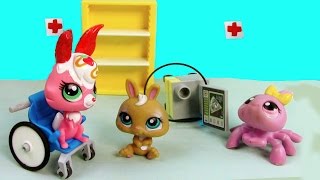 LPS Baby Bunny Born  Mommies Part 39 Littlest Pet Shop Series Movie LPS Mom Babies Bulldog [upl. by Lajes]