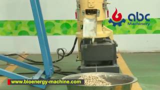 Rtype 200B Pellet MillSmall Sawdust Pellet Machine biomass [upl. by Adnorrahs561]