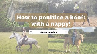 How to poultice a horse’s hoof  with a nappy  diaper [upl. by Lytton]