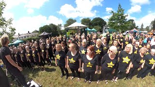 Rock Choir  Video Killed The Radio Star [upl. by Hobard]