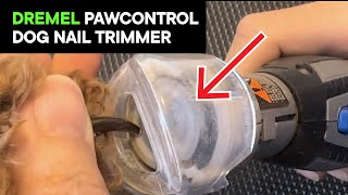 Dremel Pawcontrol Dog Nail Trimmer Review [upl. by Andromada]