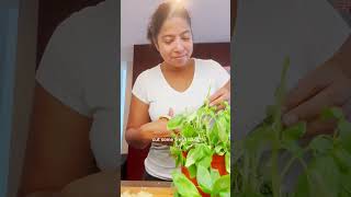 How to make risotto with pistachio pesto foodshorts recipe s ipe [upl. by Nirac140]