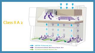 6 3 Biosafety Cabinets [upl. by Banwell]