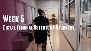 1st Physical Therapy Session  Week 5 of Distal Femoral Osteotomy Recovery [upl. by Bertold]