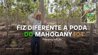 FIZ DIFERENTE A PODA 2024 DO MAHOGANY404 1 EDIÇÃO [upl. by Heisel]