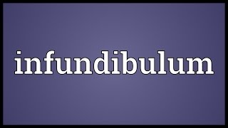 Infundibulum Meaning [upl. by Lasley]