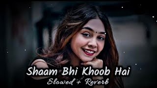 Sham Bhi Khoob Hai Slowed Reverb Udit Narayan Kumar Sanu Alka Yagnik lofi lofisong 90s [upl. by Adiaros528]