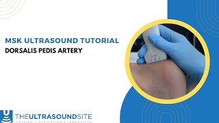 How to find the Dorsalis Pedis artery on MSK ultrasound of the foot [upl. by Paget]