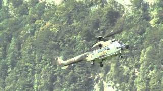 Highlights Super Puma Display Zigermeet 2013 Mollis [upl. by Aneleh]