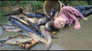 Vietnamese girl goes on an adventure with two smart dogs to catch fish for a living  ha thi muon [upl. by Eenor910]