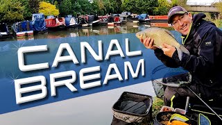 Canal Bream Fishing [upl. by Esinned]