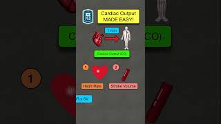 🔥 How to Remember Cardiac Output  Nursing Calculation Stroke Volume and Heart Rate [upl. by Jenesia]