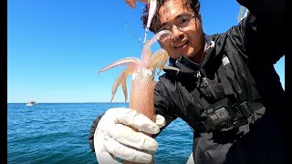 麻省爆钓鱿鱼Hyannis Collier Ledge Spring Squid Fishing 2022 [upl. by Ossy]