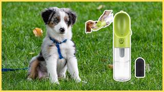 La meilleure gourde pour chien  PETKIT Eversweet [upl. by Rol]