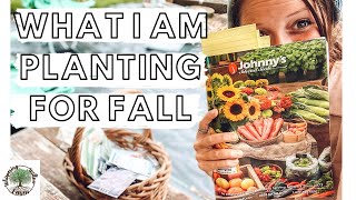 What Im Planting This Fall For Profit amp Fun VLOG Whispering Willow Farm [upl. by Woolley128]