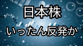 日経平均 一時反発か！？ まだまだひどい含み損 [upl. by Savell]