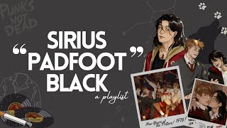 ❝There are things worth dying for❞  a sirius black playlist [upl. by Genna]