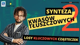 17 Synteza kwasów tłuszczowych cz2  Jak jest zasilany Matura z biologii 2023  studia 👩‍⚕🧑‍⚕ [upl. by Eidod]