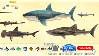 TODOS LOS PECES DEL JUEGO ANIMAL CROSSING NEW HORIZONS [upl. by Conah191]