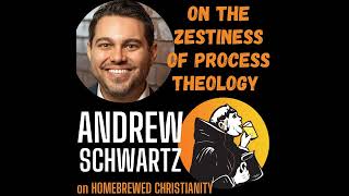 Andrew Schwartz On the Zestiness of Process Theology [upl. by Mcripley]