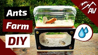 ANT WATER TOWER  How to make an Ant farm DIY Water Tank [upl. by Dviad996]