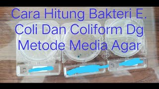 Cara Menghitung Bakteri E Coli Dan Coliform Pada Media Agar sanitariankitepisode2 [upl. by Mellins]