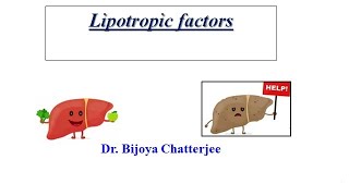 Lipotropic factors [upl. by Nelleh]