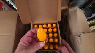 They arrived TruTone LED Bulbs unboxing [upl. by Scharff]