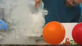 Liquid Nitrogen Demonstration [upl. by Weide]