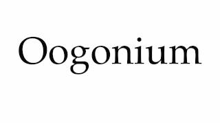 How to Pronounce Oogonium [upl. by Ojimmas]